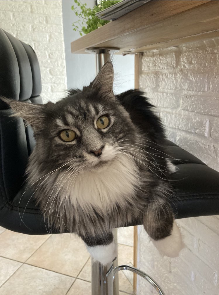 HuretLouanne's tweet image. 💞💞