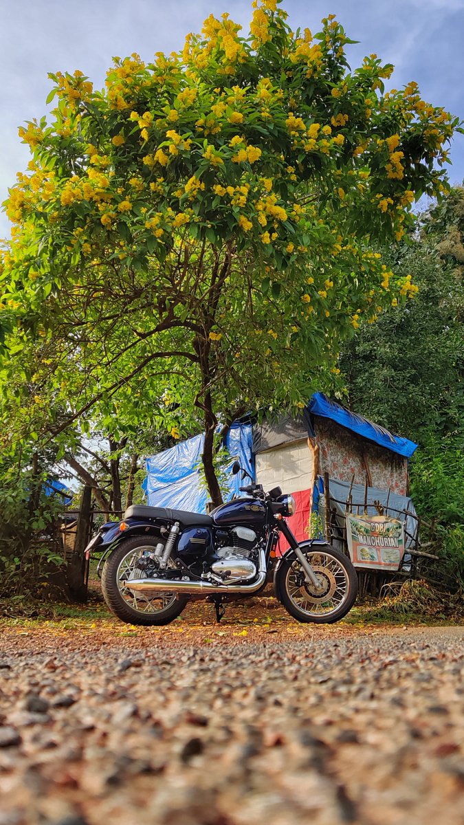 jawamotorcycles's tweet photo. At the root of happiness! Parvez Fernandes (Instagram handle: parvez_fernandes) managed to capture the Jawa forty two at full bloom.
#jawamotorcycles #jawafortytwo #jawa42 #nebulablue #photoview #happyriding #happyride #yellowblooms #undertree #motorcycleride #motorcycleclub https://t.co/RBqabiZ9rd