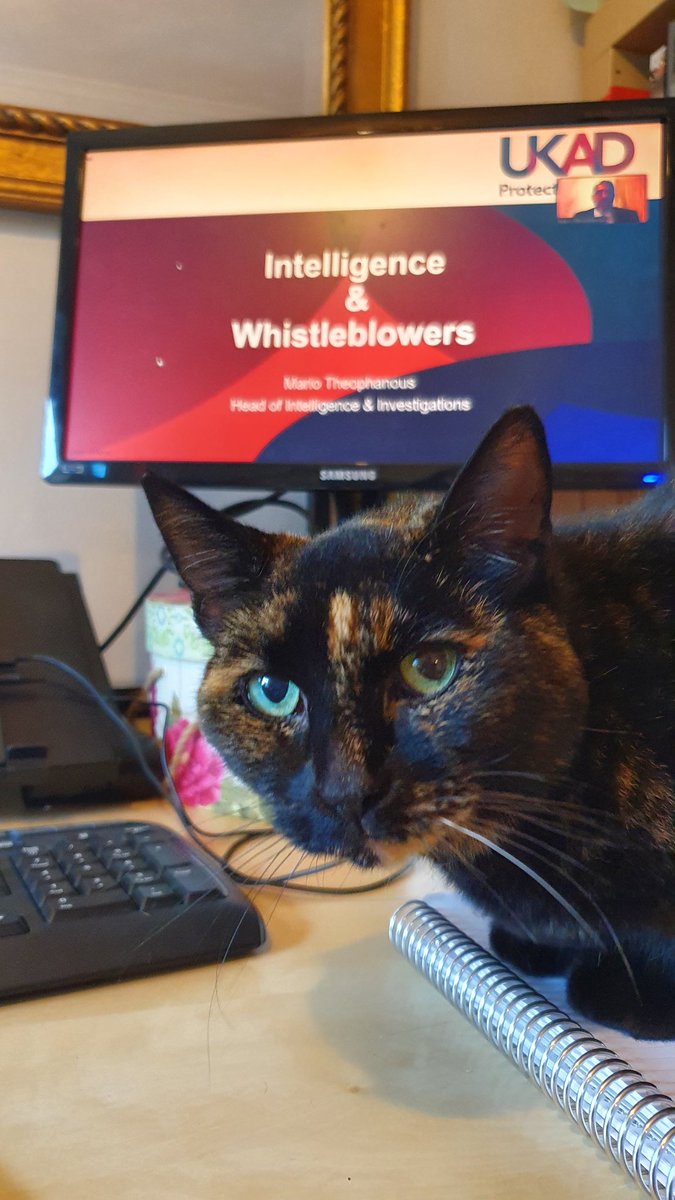 JacquiTraynor's tweet image. Puurrfect timing for the start of Day 2 of @ukantidoping #CSF2020 Clean Sport Forum 😄