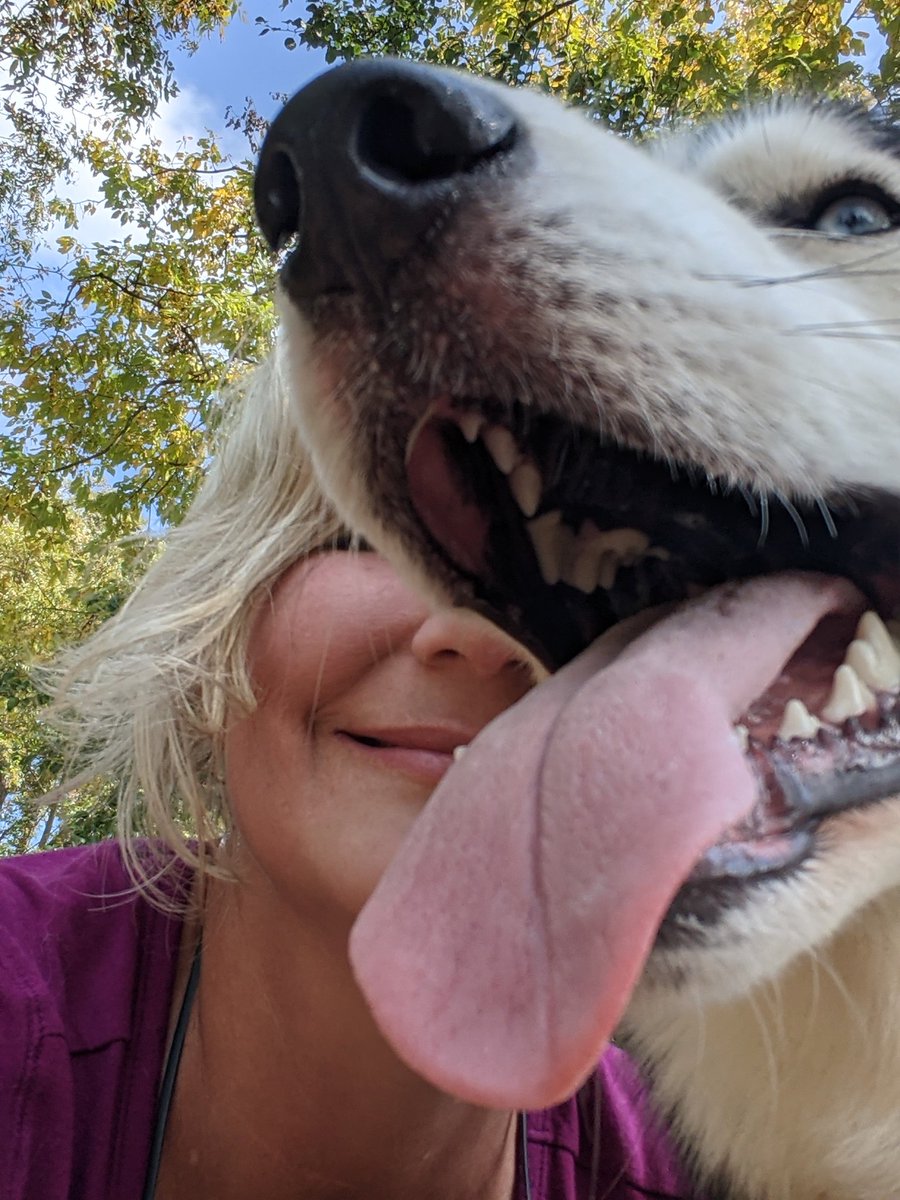 dam_dogs's tweet photo. Wish you were here! 
Follow the best Big Dam Dogs &amp; Fen on IG @BestDamDogs @fenthefabulous 
#BigDamDogs
#BigDamBridge
#PeaceLoveandDogs
#dogsofinstagram #dogs  #doggos #puppers #dogsoftwitter #huskies #SiberianHusky https://t.co/hJiM7zc16P https://t.co/xHmgLFRqTf