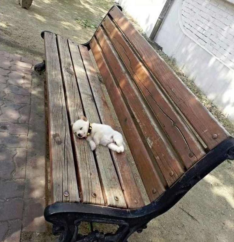 kimse:
hiç kimse:
8 aydır ben: