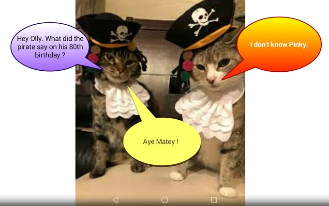 Turtlecat9's tweet photo. Pinky and Olly's Corny Jokes!
Happy 🐫🐪 day tweeterland! Meows komik partnur Olly @AlanSla90124663 sended dis a wiles ago n meow furgitted to post it! Can mew beweeve dat? Anywho, enjoy mews shtart to da day wiff r Olly's Corny Joke! Say it out loud... its a punny one! 😹😹😹😹 https://t.co/BnwCuGHrQz