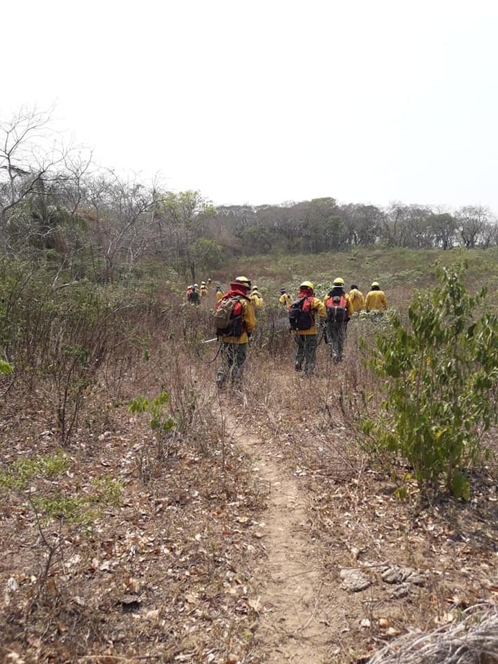 Pol_Boliviana's tweet photo. Tras haber cumplido con un riesgoso trabajo combatiendo los incendios Florida, Rio Seco, Buen Retiro y otros con  focos de calor, nuestros #Bomberos de #LaPaz, #Cochabamba, #SantaCruz y #Tarija retornan a sus hogares junto a sus familias con la satisfacción del deber cumplido https://t.co/HRWITM8Jps