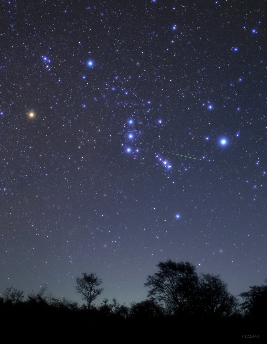 Kagaya 昨夜撮影したオリオン座流星群の流れ星たちです 1 昇るオリオンと 2 冬の大三角と 一番明るい星はシリウス 縦に伸びる淡い光の帯は冬の天の川です 未明にはもう冬の星座が出そろい きらびやかです オリオン座流星群は流星の数は少ない