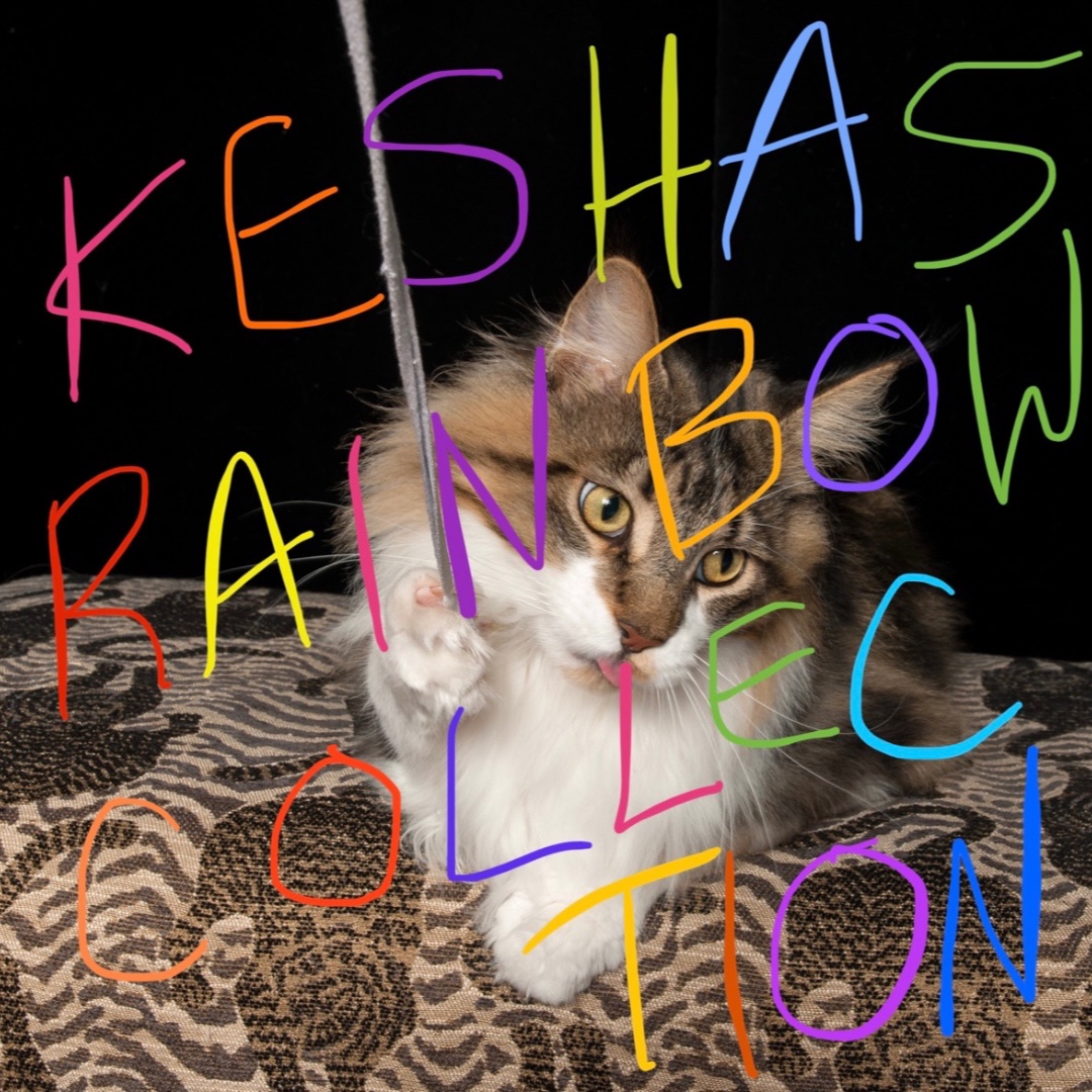 KeshasRainbowCollection tweet media