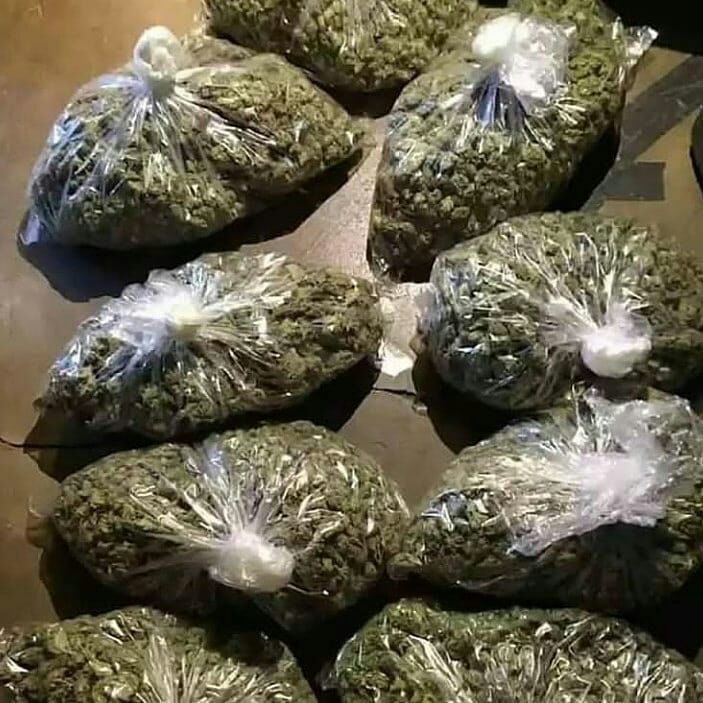 Labrous07443488's tweet photo. Livraison🌿 rapide en toute discrétion👇
WhatsApp+337 52 90 03 88
Télégram :https://t.co/osiWPoW0E2
#weed #beuh #shit #cocaine #drogue #Paris #Nantes #Toulouse #bordeaux #Montpellier #Marseille #Rennes #Lorient #Quimper #Nancy #Lille #Dijon #Avignon #SaintNazaire #Auxerre  #Nice https://t.co/ppKrJzjH1n