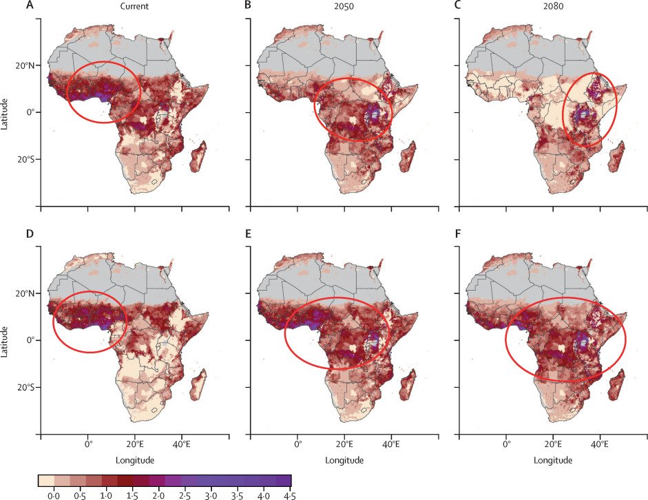 And finally, from  @morde and  @SadieRyan, some important work that further contextualizes the idea malaria might be moving out of Africa, and viruses like Zika are moving in - which has HUGE implications for what "climate change adaptation" actually means  https://www.sciencedirect.com/science/article/pii/S2542519620301789#fig1