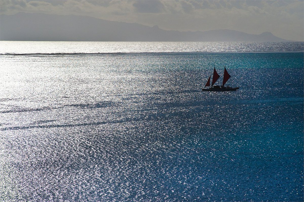 For centuries #cultures throughout the world have traveled by the guiding light of the sun, moon and stars.
In the #Pacific, mariners continue to brave the vast #ocean as their ancestors have for centuries in double-hulled #canoes.
📸 Photo by Danee Hazama https://t.co/iSn24Bt4EL