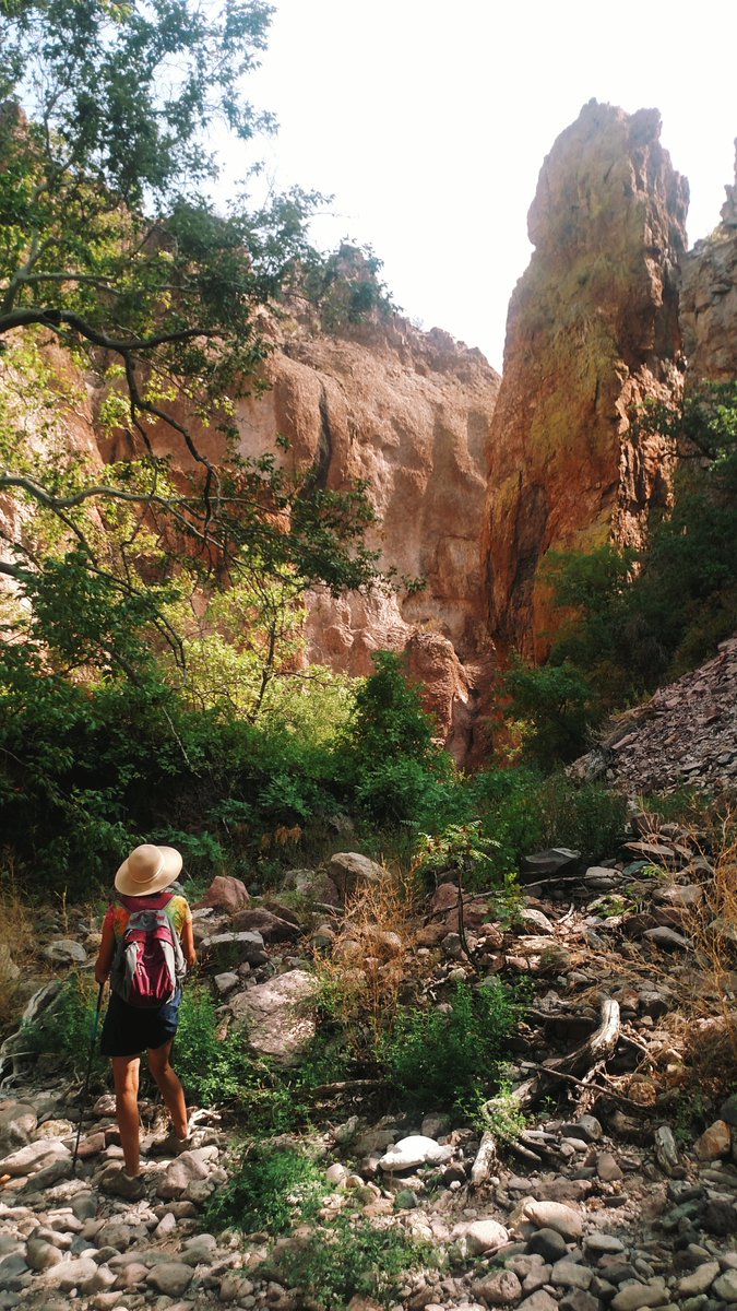 Center4Frontier's tweet photo. Taken from the #MineralCreek Trail outside of #AlmaNM by our communications specialist @kendraclone. https://t.co/hT8Ygl6RwI