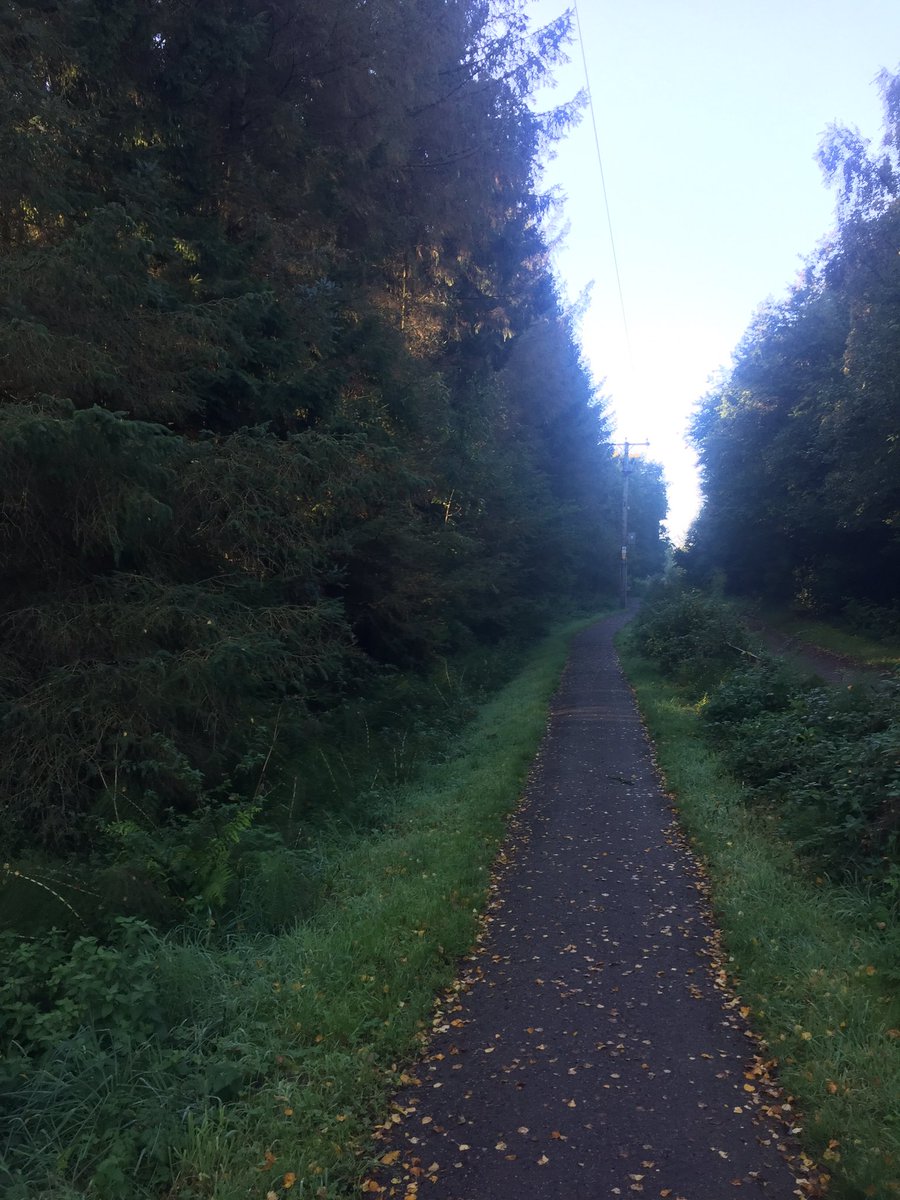MattsFay's tweet photo. Any building contractors should apply to @CheshireEast as they seem to be saying ‘yes’ to any application, including consideration for the cutting down of the majority of the beautiful and healthy woodland in Adlington. Please oppose using 20/4189M Cheshire East planning . @CPRE https://t.co/5k3deDaeHZ