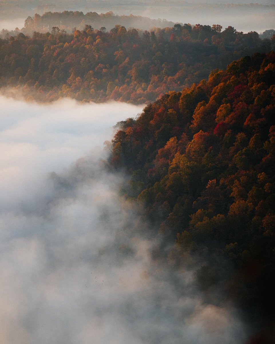 AlexKing___'s tweet image. Sunrise in the mountains of West Virginia 🌄