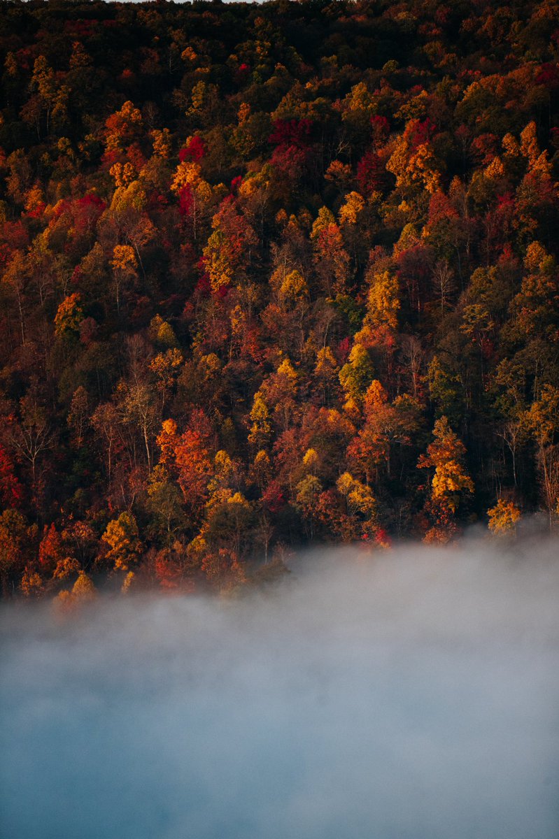 AlexKing___'s tweet image. Sunrise in the mountains of West Virginia 🌄