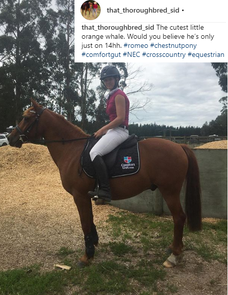 ComfortGutWorld's tweet photo. #ComfortGut can play a role in helping to maintain healthy gastric acid levels and can be fed long term without disrupting acid production which is required to break down food for proper digestion &amp; absorption of nutrients #horsechathour #emeraldbalms #equineblogger https://t.co/zpJ50W3Zmm