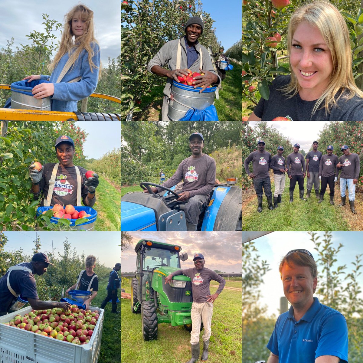 Amanda Dooney tweet media