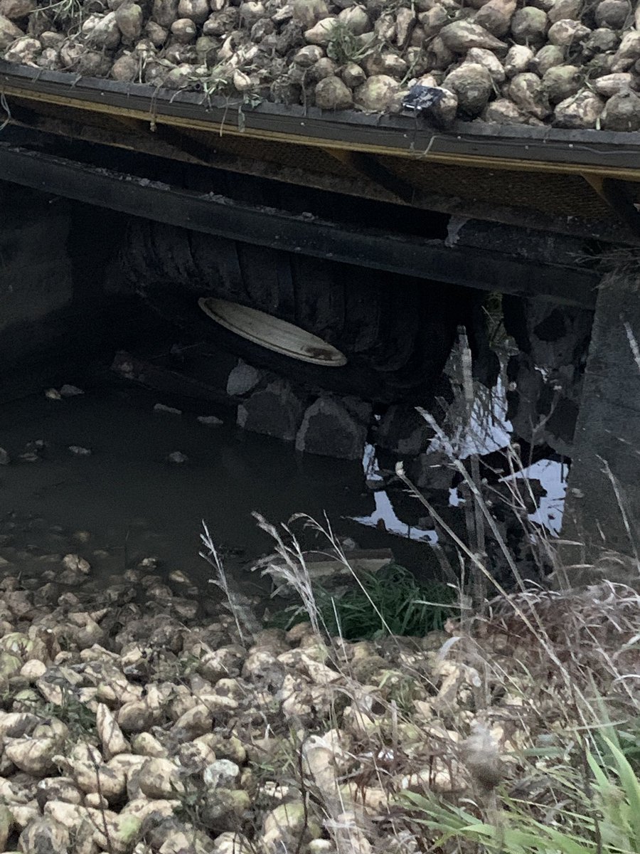 Wouldn’t be beets without something tipped over in a ditch