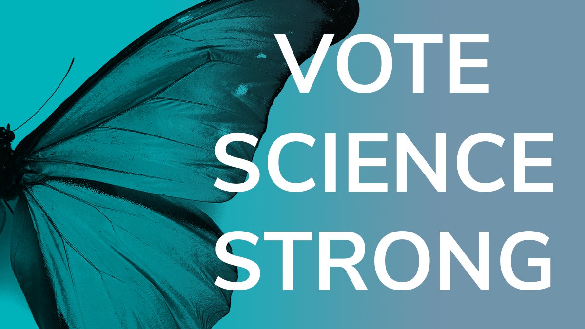 EntsocAmerica's tweet photo. Ask your candidates: What must the U.S. do to remain a global leader of scientific innovation with other nations rapidly increasing their investments? #VoteScienceStrong #swarm4science #EntVocate20 https://t.co/WDX27n0fey https://t.co/wIPelRwD3Z