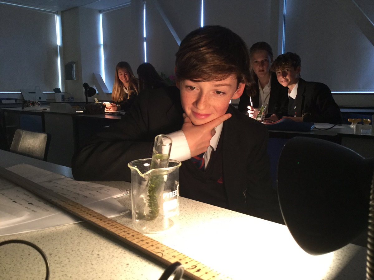 ChurchersSci's tweet photo. Lots of Bubbles this week in Science. Counting them to measure the rate of photosynthesis. Great work 4th years. #bubblesbubbleseverywhere #ChurchersLimitlessPotential https://t.co/mModCa05Mn