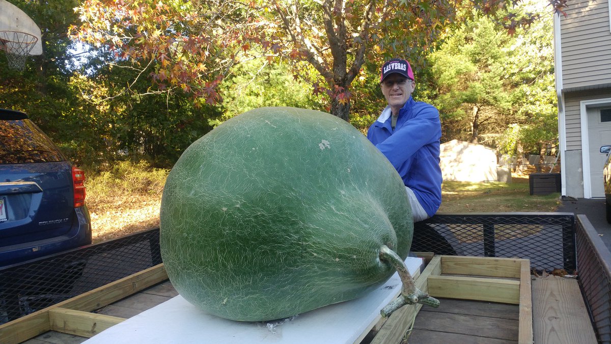 NeptunesHarvest's tweet photo. ANOTHER WORLD RECORD!
This World Record 470.5 lb. Bushel Gourd grew right up to the day it was harvested.  All Summer the plant was foliar fed weekly with the Amino Acids and Proteins and our Neptune’s Harvest Hydrolyzed Fish Fertilizer, plus Crab &amp; Lobster Shell Plant Food. https://t.co/ykZdxlNfjO