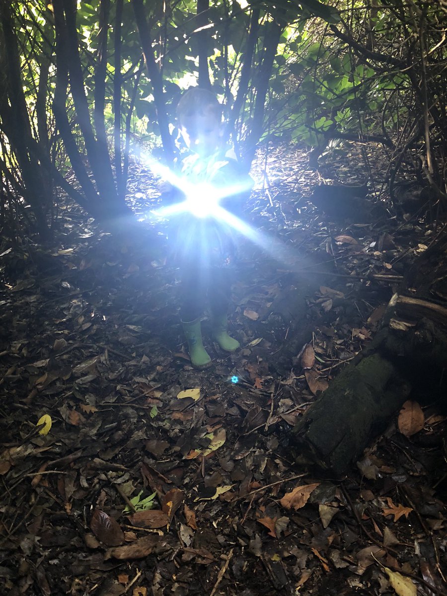 LynnDic36006473's tweet photo. @EarlyGranton torch was out again today, this time in the forest! We had a pit stop to make a fire pit and have some marshmallows 🤣 (think this took his mind of his sore arm 💉 😔) #forestfun #outdoorplay #imaginativeplay https://t.co/9oMSClZpcY