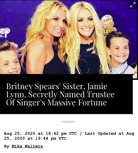 In 2018, despite having no qualifications, Jamie Lynn was secretly named the trustee of Britney's SJB revocable trust, which holds an estimated $600 million in assets that Britney set aside for herself and her kids. This was not made public until earlier this year.  #FreeBritney