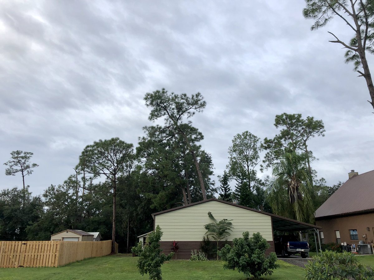 cruz31prospect's tweet image. 85 ft pine and 3 others being removed over shed and garage. #treetrimming #properpruning #treeremoval #trees #tree #treecare #trimthetree #landclearing #stump #stumpgrinding #stumpremoval #hurricaneprep #debris #debrisremoval #arborist #arboristlife