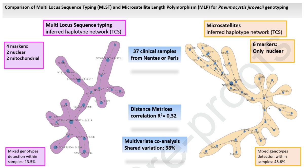 Want to investigate #pneumocystis outbreaks ☣️ ? Genotyping with MLST=MLP for discriminatory power but MLP&gt;MLST for mixed infection, cost &amp; technical time. Brand 🆕📄 bit.ly/35olLBv ft. <a href="/a_alanio/">Alexandre Alanio</a> &amp; <a href="/FlorentMorio/">Florent Morio</a>