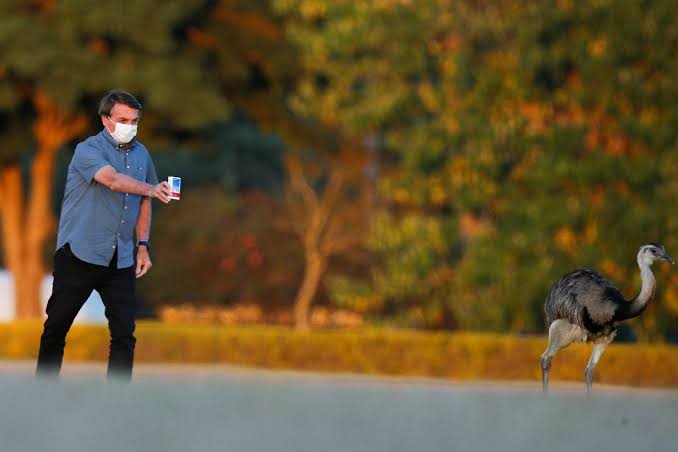 Bolsonaro disse que não vai comprar uma vacina sem comprovação científica de sua eficácia. "O brasileiro não será cobaia de ninguém". 

Engraçado como só agora ele "acredita" na ciência, sendo que uns meses atrás oferecia cloroquina até pras emas do Palácio da Alvorada.