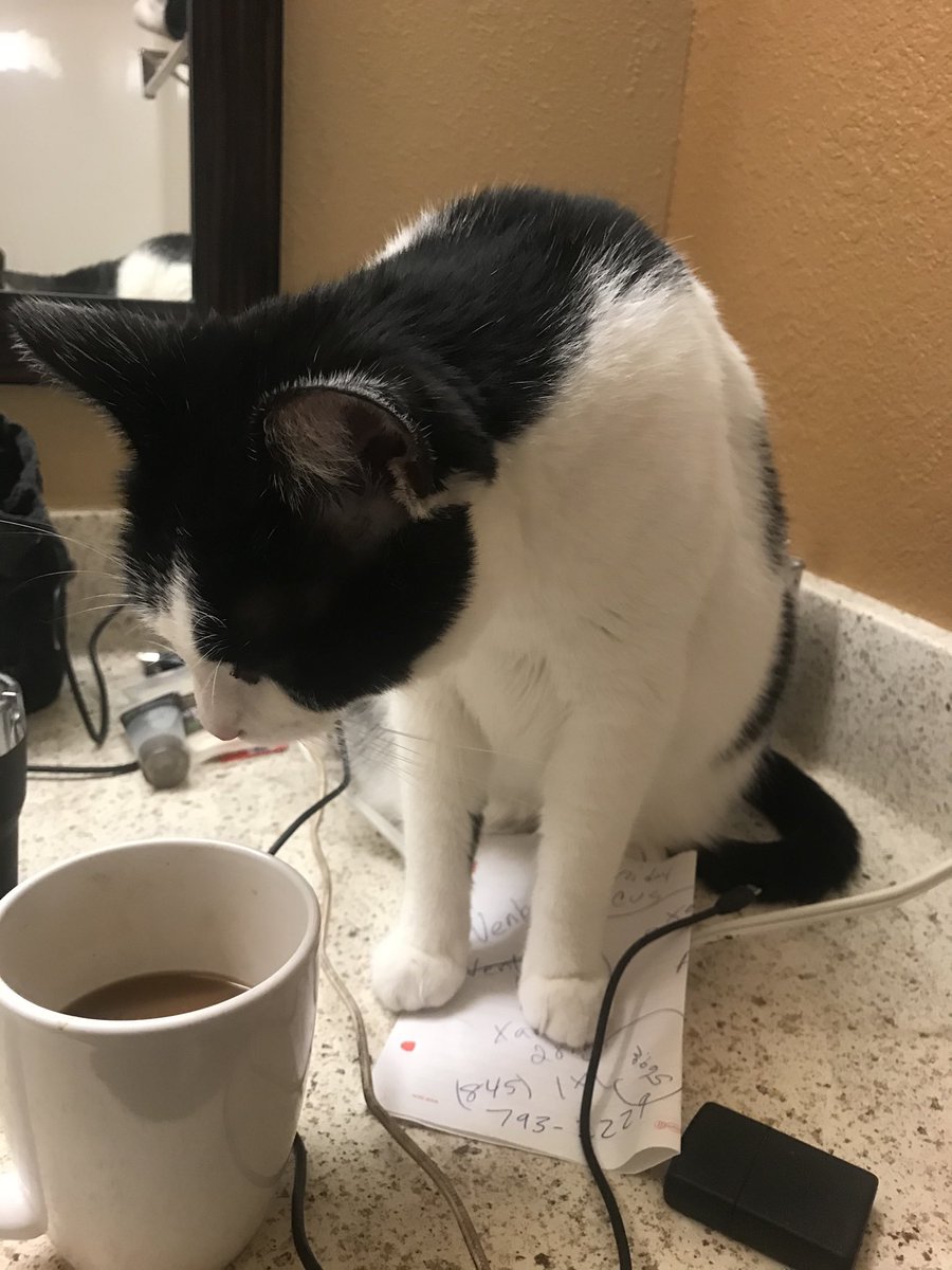 Yup Bella had some coffee maybe she be in a better mood now๐น๐น๐น https://t.co/7VSCwQppLO