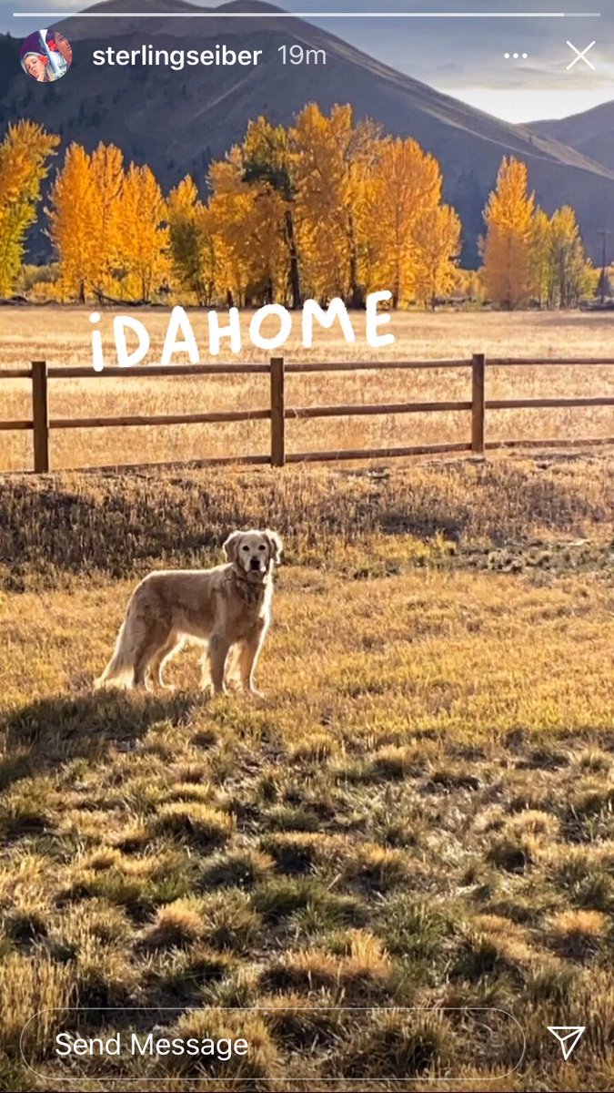 Couldn’t help but post this photo my niece took of her dog Riggins at their new home in #SunValley #Idaho. Thank you <a href="/SunValleyluxe/">Burnett Properties</a> ! <a href="/sunvalley/">Sun Valley Resort</a> <a href="/Ketchum_Idaho/">Ketchum, Idaho</a> <a href="/IdahoMtExpress/">IdahoMountainExpress</a> <a href="/ExploreIdaho/">Explore Idaho</a>