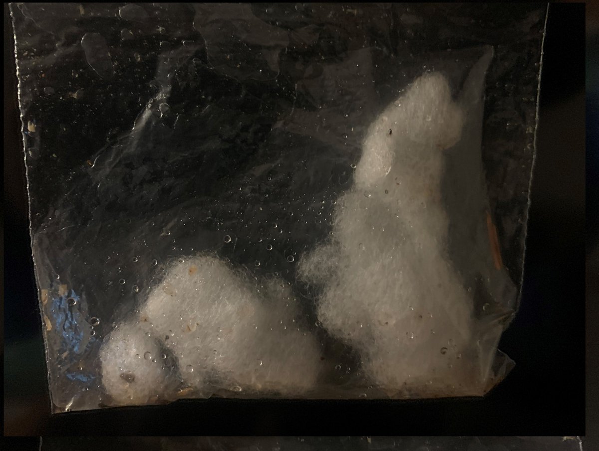 Greg Naterer (@gregnaterer) on Twitter photo New clue of synthetic down, 4-5 days old, material used in pillow fillers and by Jordan to make crafts, found by tracker near Monument 78/83 crossover, rarely hiked area, outside SAR areas checked - please <a href="/VancouverPD/">Vancouver Police</a> restart search as snowstorm and freezing temperatures coming! New clue of synthetic down, 4-5 days old, material used in pillow fillers and by Jordan to make crafts, found by tracker near Monument 78/83 crossover, rarely hiked area, outside SAR areas checked - please <a href="/VancouverPD/">Vancouver Police</a> restart search as snowstorm and freezing temperatures coming!