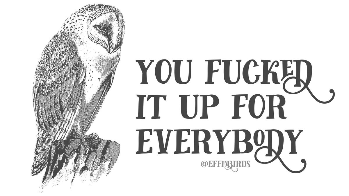 EffinBirds's tweet photo. https://t.co/mVWs87duPN