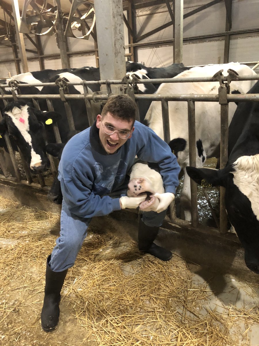 #MDTP Student Highlight: Joseph Skarlupka 

@JoeSkarl from the <a href="/suenlab/">Suen Lab</a> studies the cow rumen microbiome.

Apart from research, Joseph enjoys watching and playing sports, going to comedy shows on State St, and visiting local breweries! 

#Badgers #Microbiome