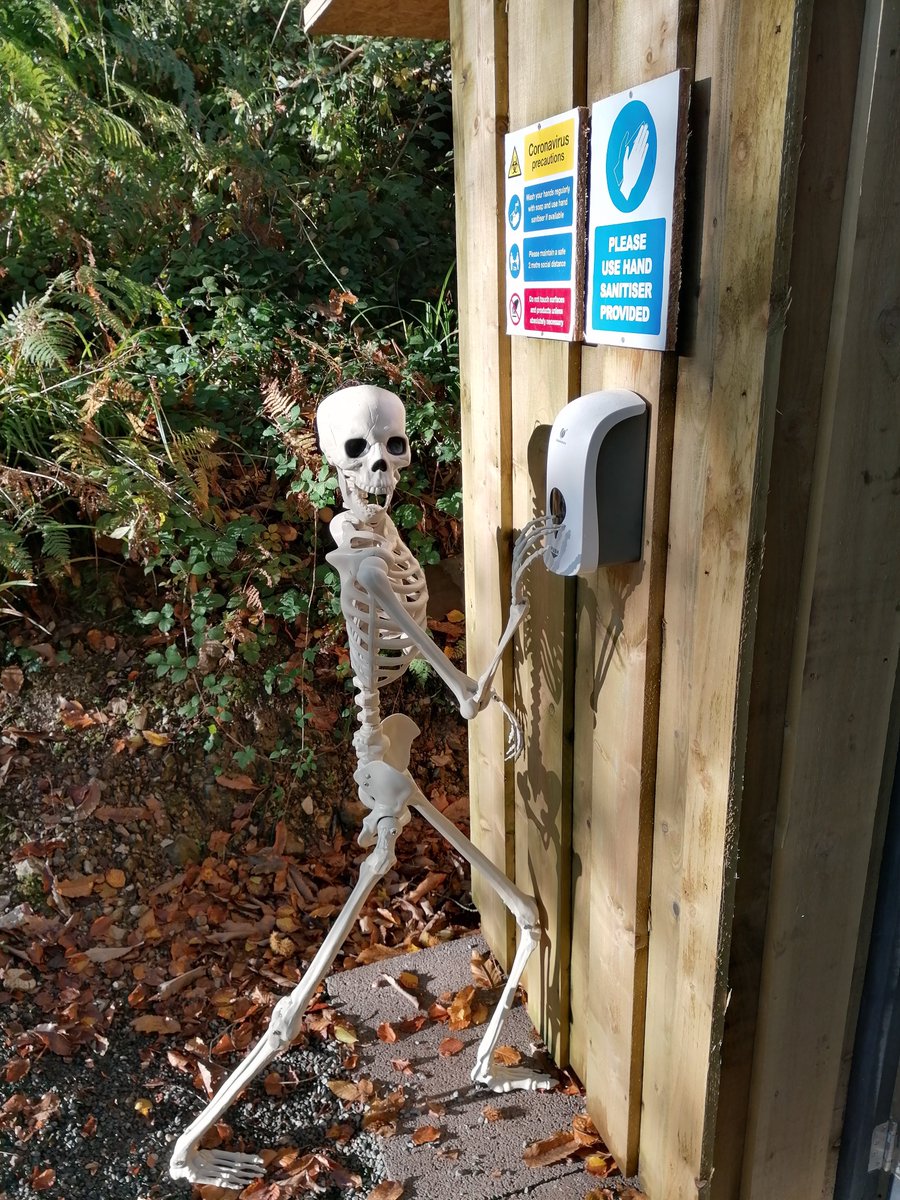 The Tunnel Tree Tops Halloween Special starting this Saturday! Book online now! tunneltreetops.co.uk.

#Halloween2020 #highropescourse #spookyseason #Dorset #charmouth #halfterm #familyfun #forests #woodland #pumpkin #Bones #scarystories #highropes #zipwires