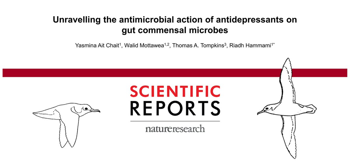 Riadh Hammami (@hammamilab) on Twitter photo You might be interested in our paper, accepted today in <a href="/SciReports/">Scientific Reports</a> and led by Yasmina Ait Chait
: Are #antidepressants safe to gut #microbiota?
nature.com/articles/s4159… You might be interested in our paper, accepted today in <a href="/SciReports/">Scientific Reports</a> and led by Yasmina Ait Chait
: Are #antidepressants safe to gut #microbiota?
nature.com/articles/s4159…