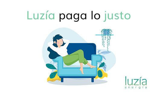 Luzía Energía tweet media