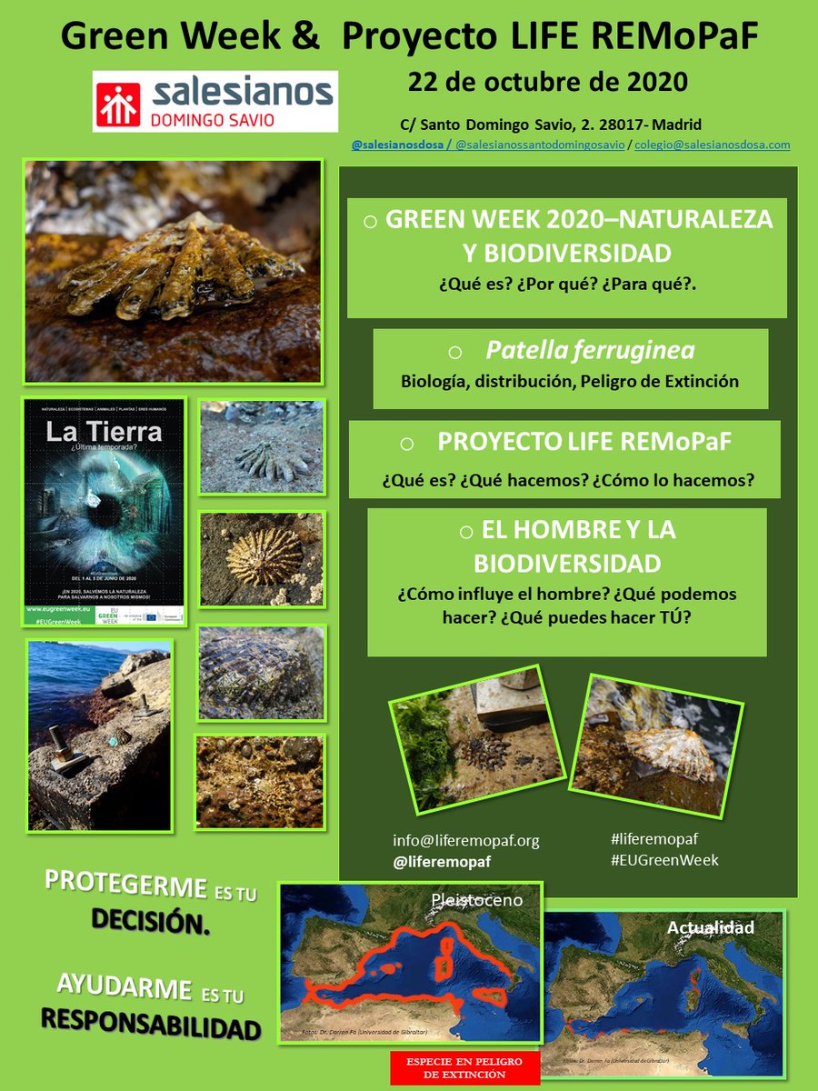 liferemopaf's tweet photo. Como parte de las actividades de la Semana Europea del Medio Ambiente (#EUGreenWeek2020), @liferemopaf estará mañana impartiendo charlas a más de 300 escolares del colegio Domingo Savio (@salesianosdosa). 
@ACCIONA @unisevilla @puertodemelilla @LIFEprogramme https://t.co/C0oNOVYYi1
