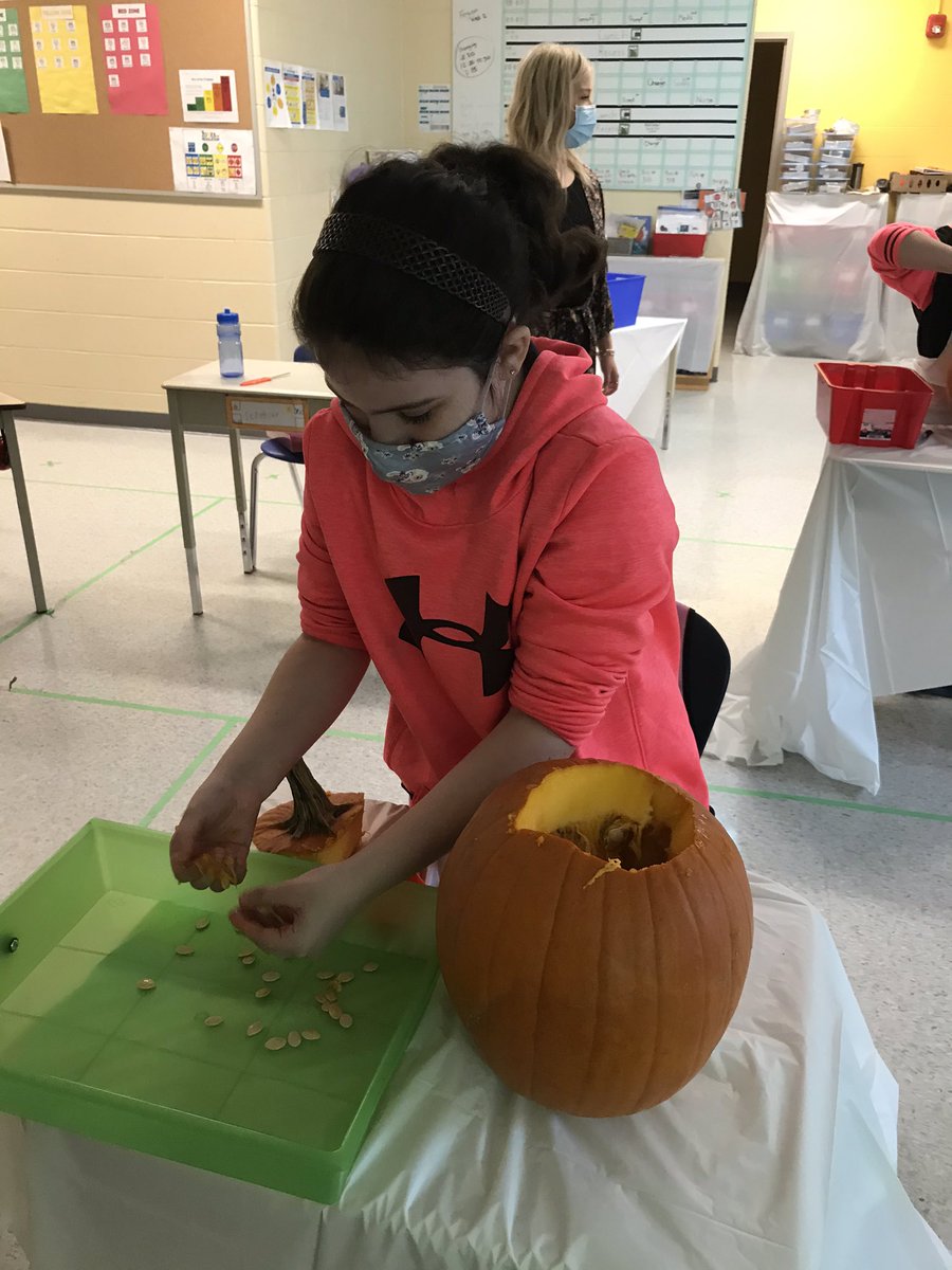 MsKellerPCB's tweet photo. We carved pumpkins 🎃 this morning. #sensory #seeds #carving #fall @MrRiversPCB @PC_dolphins https://t.co/hpwYDYWkMN