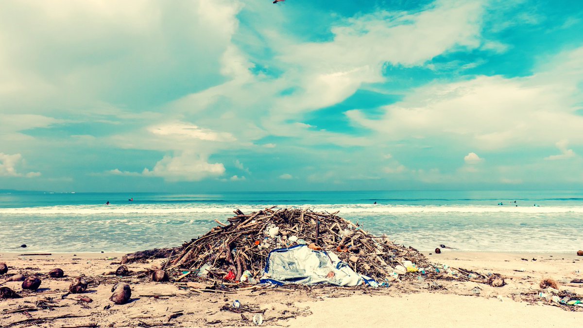 Each year, tonnes of plastic and other #marinelitter pollute #ourocean🌊
<a href="/euronews/">euronews</a> featured #EMFF funded <a href="/marGnetproject/">marGnet</a> innovative technology used to map pollution hotspots⚠️and how it recycles marine litter♻️! 
👉bit.ly/3oc78tt
#EUGreenDeal #EUBeachCleanup