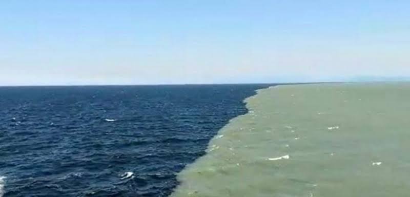 Встречаются 2 океана. Балтийское море Атлантический океан. Галоклин Балтийское море. Атлантический океан и тихий океан граница.