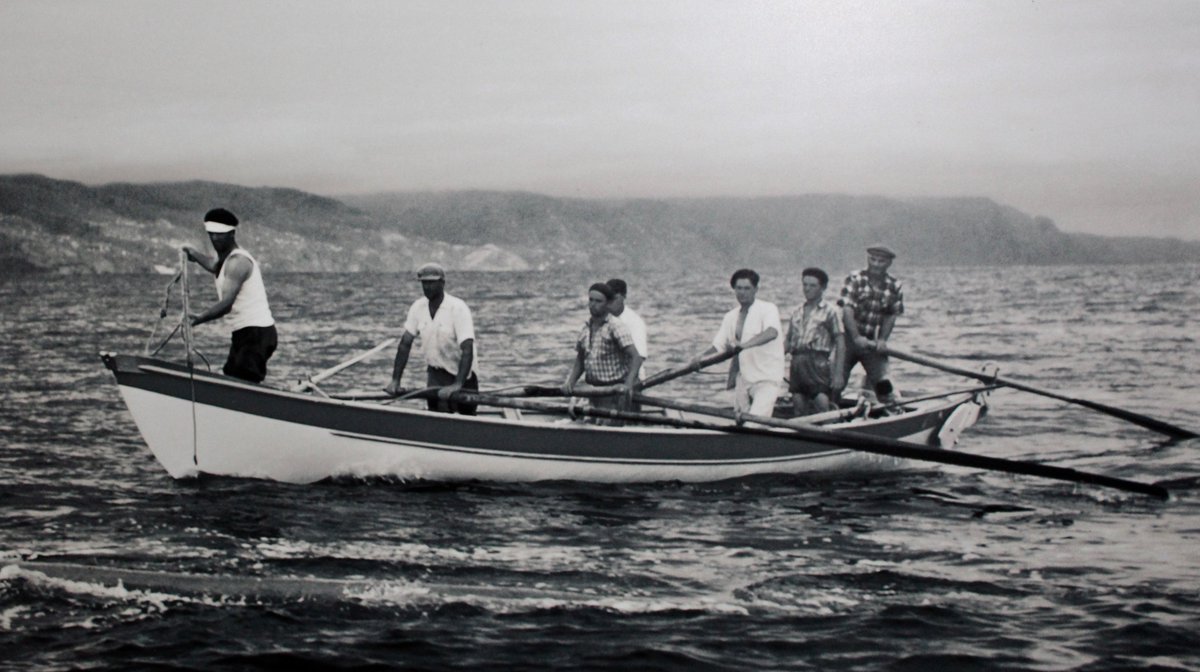 adaptive's tweet image. Bloody whaling!🩸🐋 #photoshop #neuralfilters