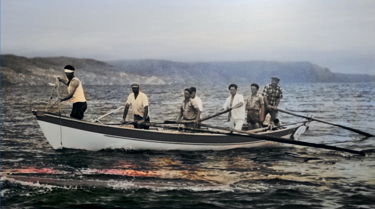 adaptive's tweet image. Bloody whaling!🩸🐋 #photoshop #neuralfilters