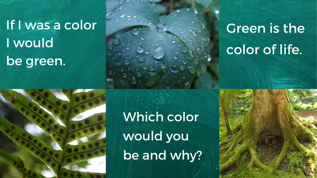 CreatrixCompass's tweet image. What color would you be?

#creatrixcompass
#youarecreative
#artisessential
#rewildingofwomen
#naturelovers