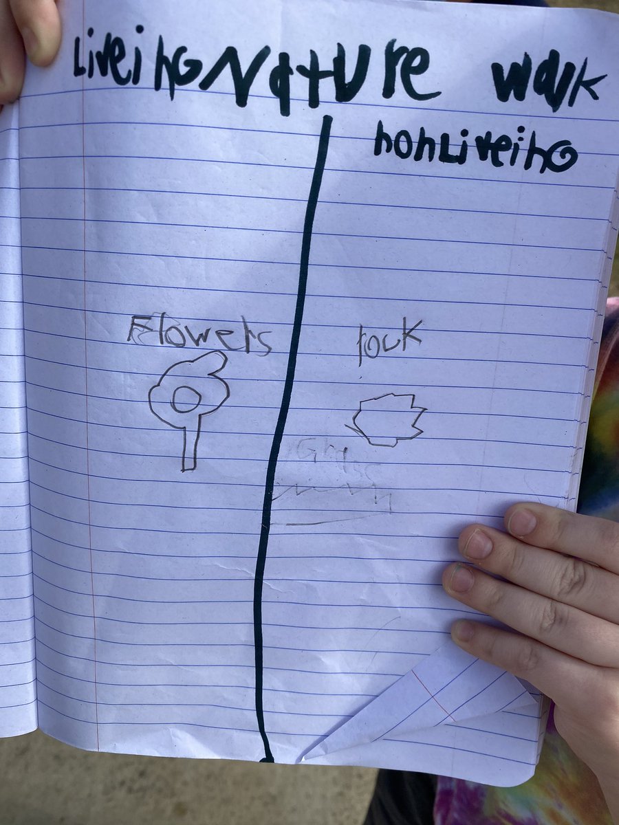 ColtsArroyo2's tweet photo. In person students went on a nature walk to find living and nonliving things!#kfeproud @NISDFranklinES #nisdbacktogetherbetter https://t.co/aRcLXzofzA