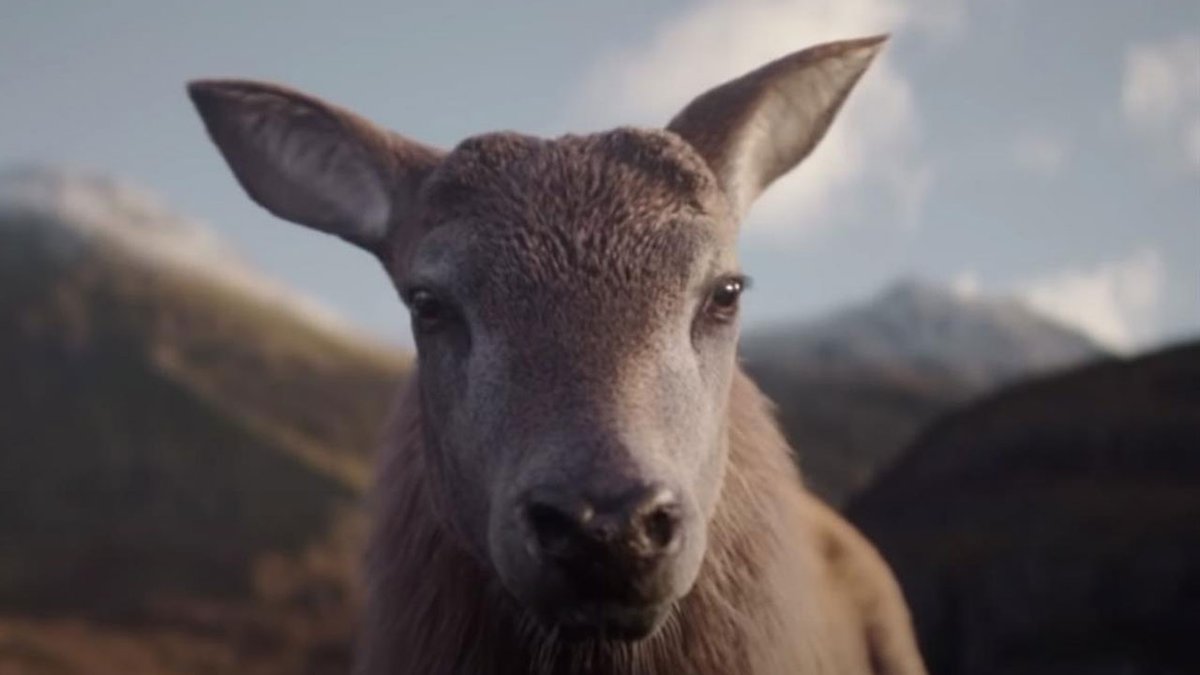 Thinkboxtv's tweet photo. Watch our selection of this week's #breakingads here: https://t.co/uw72zuax0t
featuring some brilliant work from @MullenLoweLDN @LeoBurnettLDN @PabloAgency @agencyspace https://t.co/fzzQUBPzNs