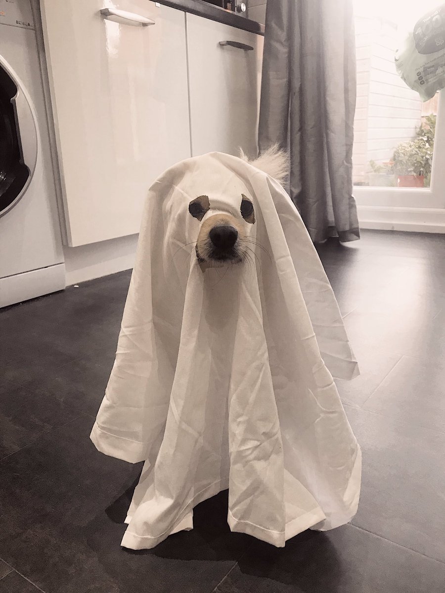 I’ve finished watching #BlyManor and now I’m convinced I’m seeing ghosts everywhere