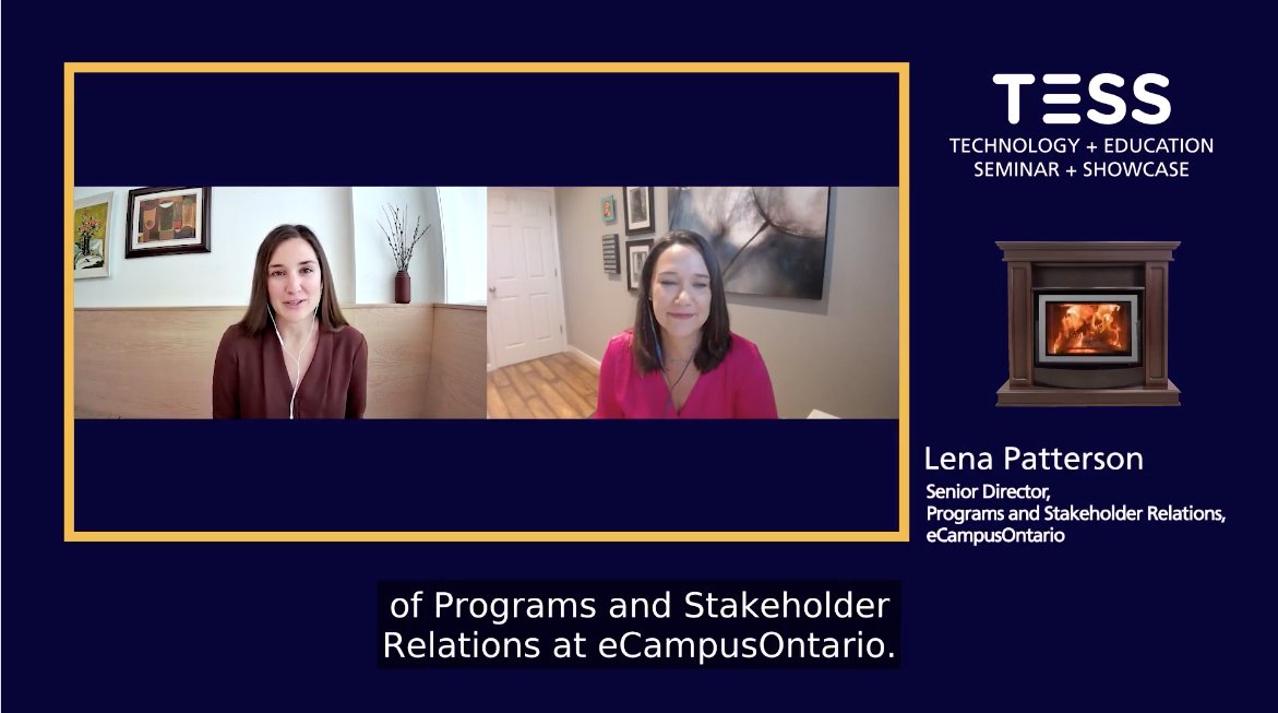 You can tell how much time and effort went into not just the content but also the details of @eCampusOntario #TESS2020. For example, an a virtual flickering fireplace for this fireside chat between @lpatter10 and @brocansky