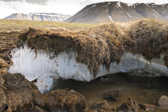 وفي نفس الوقت حاليًا فيه مخاوف من انتشار فيروسات غير معروفة كانت متجمدة منذ ملايين السنين قد تكون اخطر من كورونا بسبب إرتفاع درجة الحرارة الحاصل بمنطقة permafrost في سيبيريا