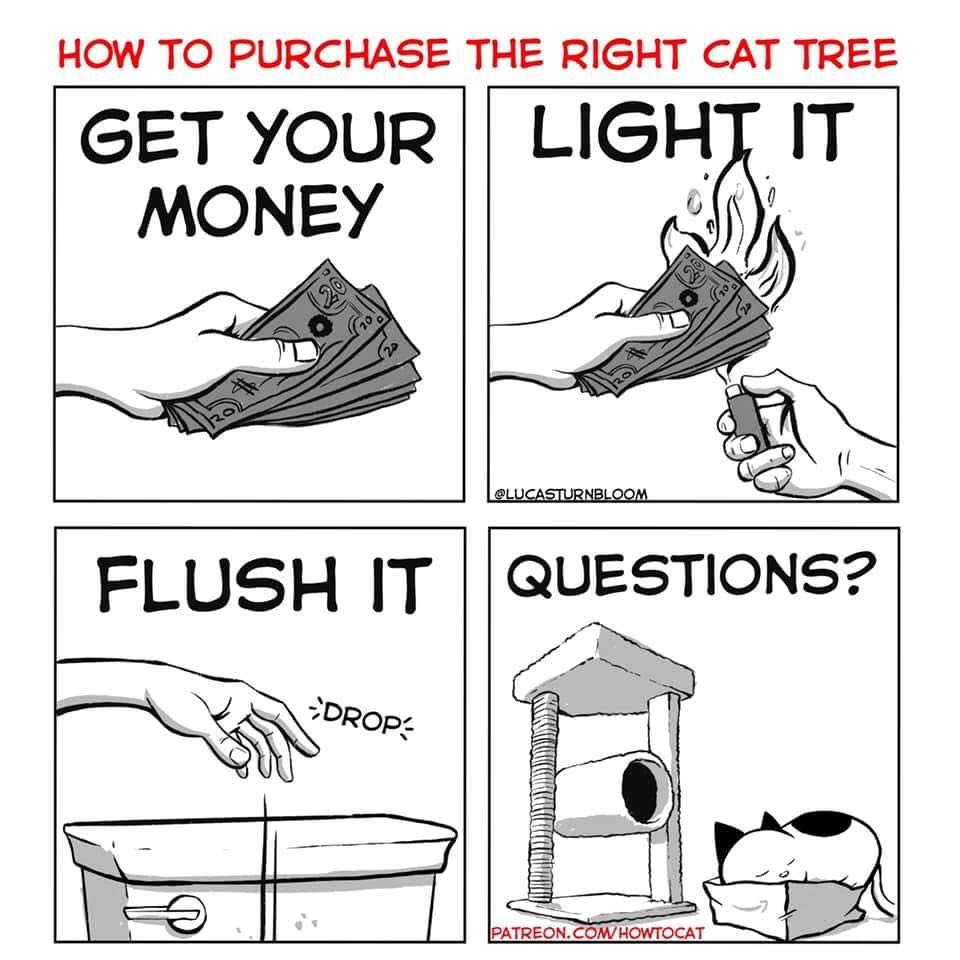ThePhilosopurr's tweet photo. Actually...We have two cat trees... they love them both.
But, we also kept the boxes till they were propurrly shredded by the #Cats
#HowToCat #WickedCatWednesday https://t.co/MxqavkrTod
