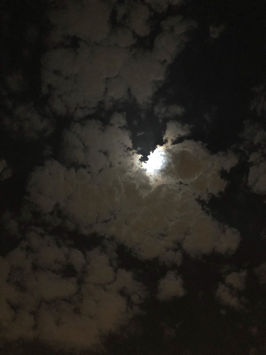 في ليلهٍ قمرا هواها صفالي
لاغاب نور البدر خليّ بديله.