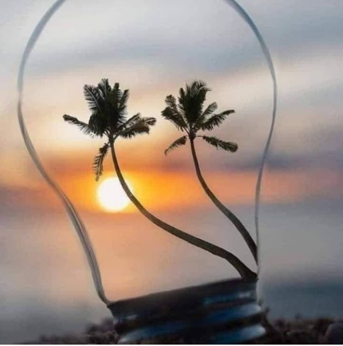 الطيبون لا يلتقون صدفة.. بل تجمعهم نواياهم..